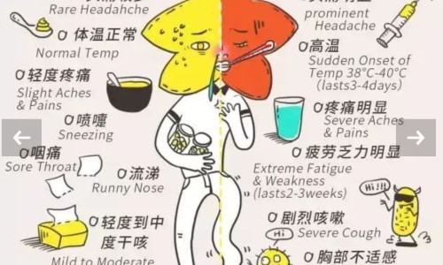 怀孕期间雄性激素高的话是不是男宝几率高-孕期雄性激素多的表现、怀孕雄性激素会增加吗 -怀孕期间雄性荷尔蒙升高网