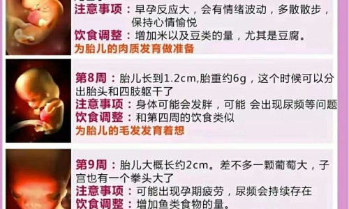 孕期雄性激素多的表现、怀孕雄性激素会增加吗 -怀孕期间雄性荷尔蒙升高网